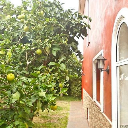 Casa Buganvilla لوس رياليخوس المظهر الخارجي الصورة